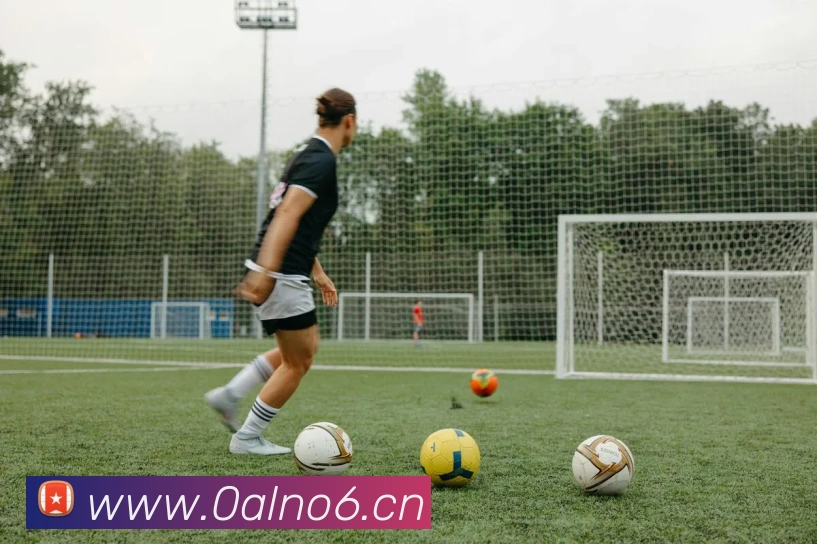 星空官网登陆入口APP 封面图