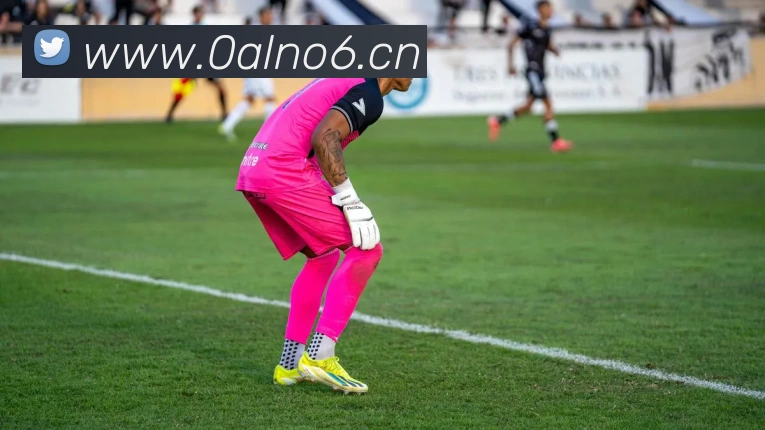 数据防护可视化